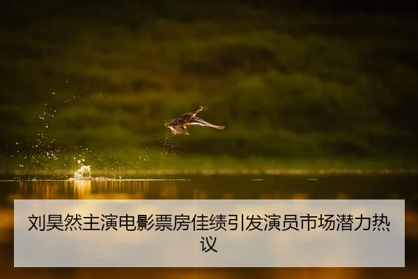 刘昊然主演电影票房佳绩引发演员市场潜力热议